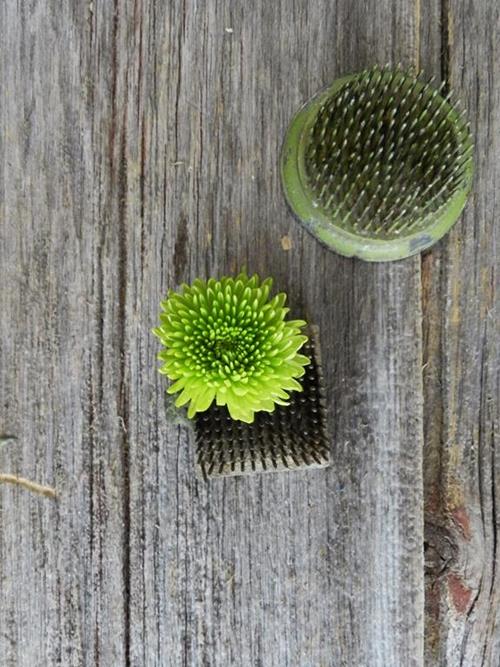 BUTTON  GREEN POMPONS